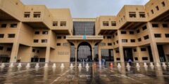 أفضل تخصصات البنات في السعودية 2025: دليل لاختيار التخصص المناسب