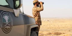 ترويج القات جازان