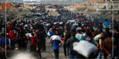 الأمم المتحدة: 1,760 فلسطينيًا استشهدوا أثناء محاولتهم الحصول على المساعدات