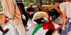 استشهاد محمد شعلان