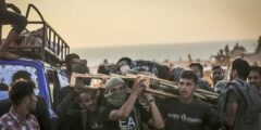 استشهاد نحو 3 آلاف فلسطيني أثناء محاولتهم الحصول على المساعدات في غزة