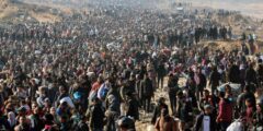 “أونروا”: مليون وتسعمئة ألف شخص نازحون قسريًا في قطاع غزة